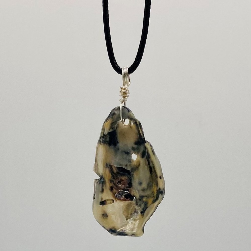 Shell Pendant on 24" Black Cord Necklace; B24-24